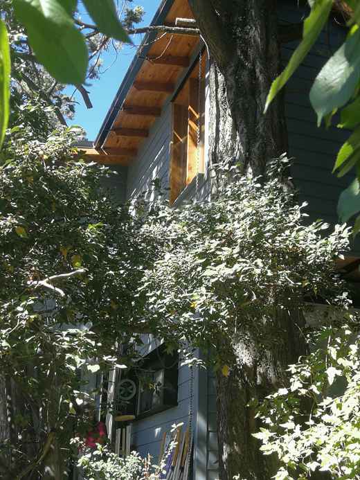 Cabaña Ladera Norte · imagen 2